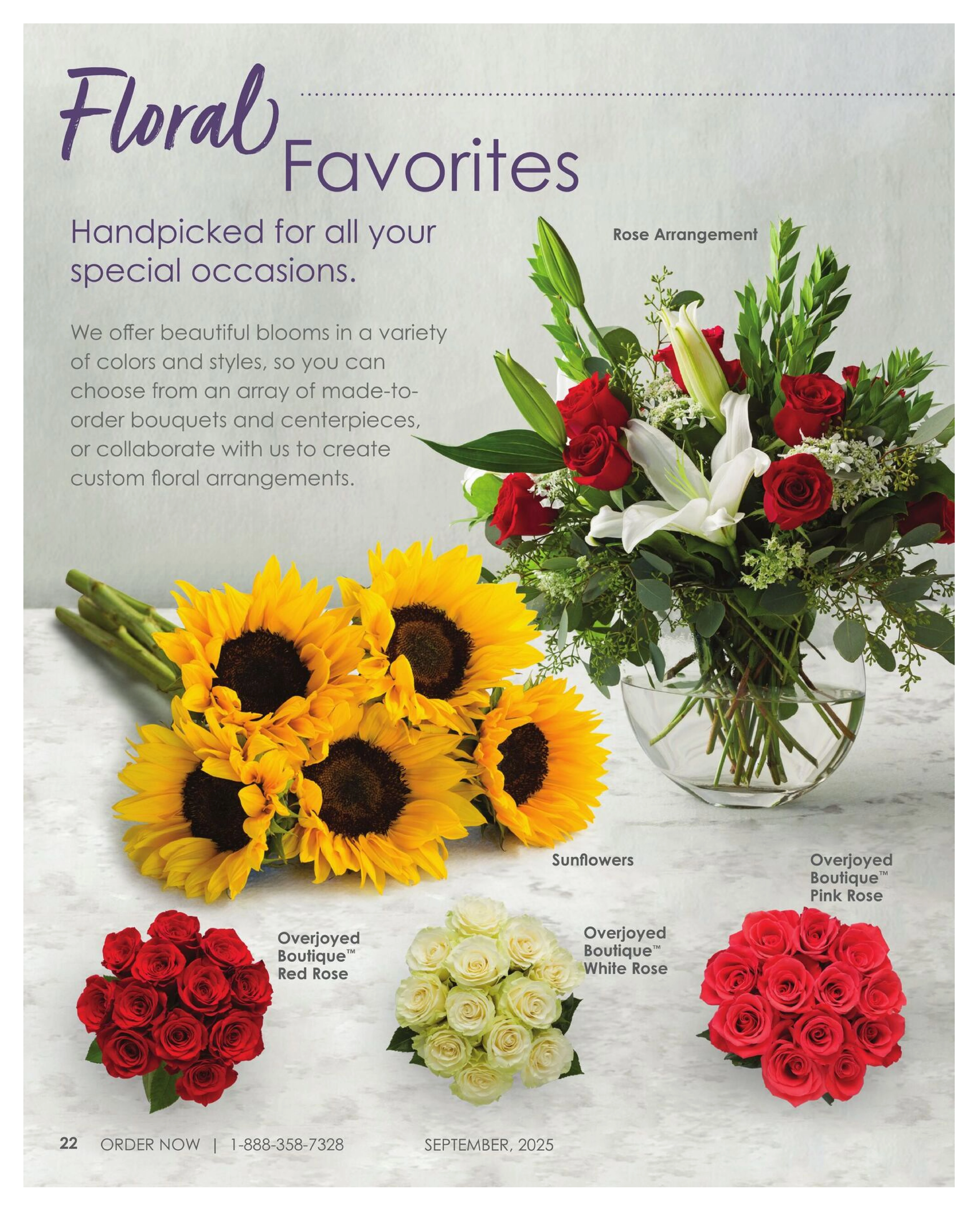 Albertsons Page 24