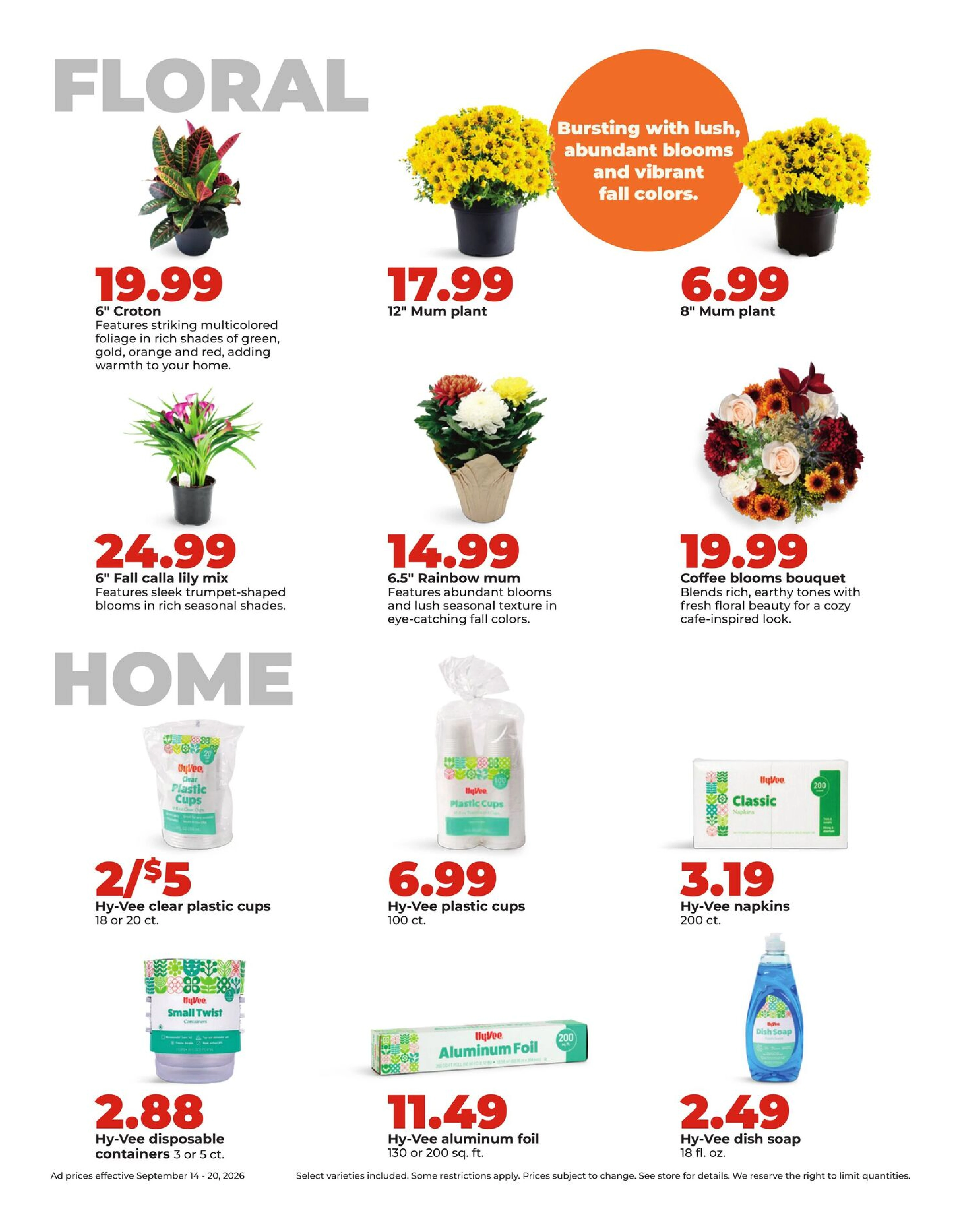 Hyvee Page 38