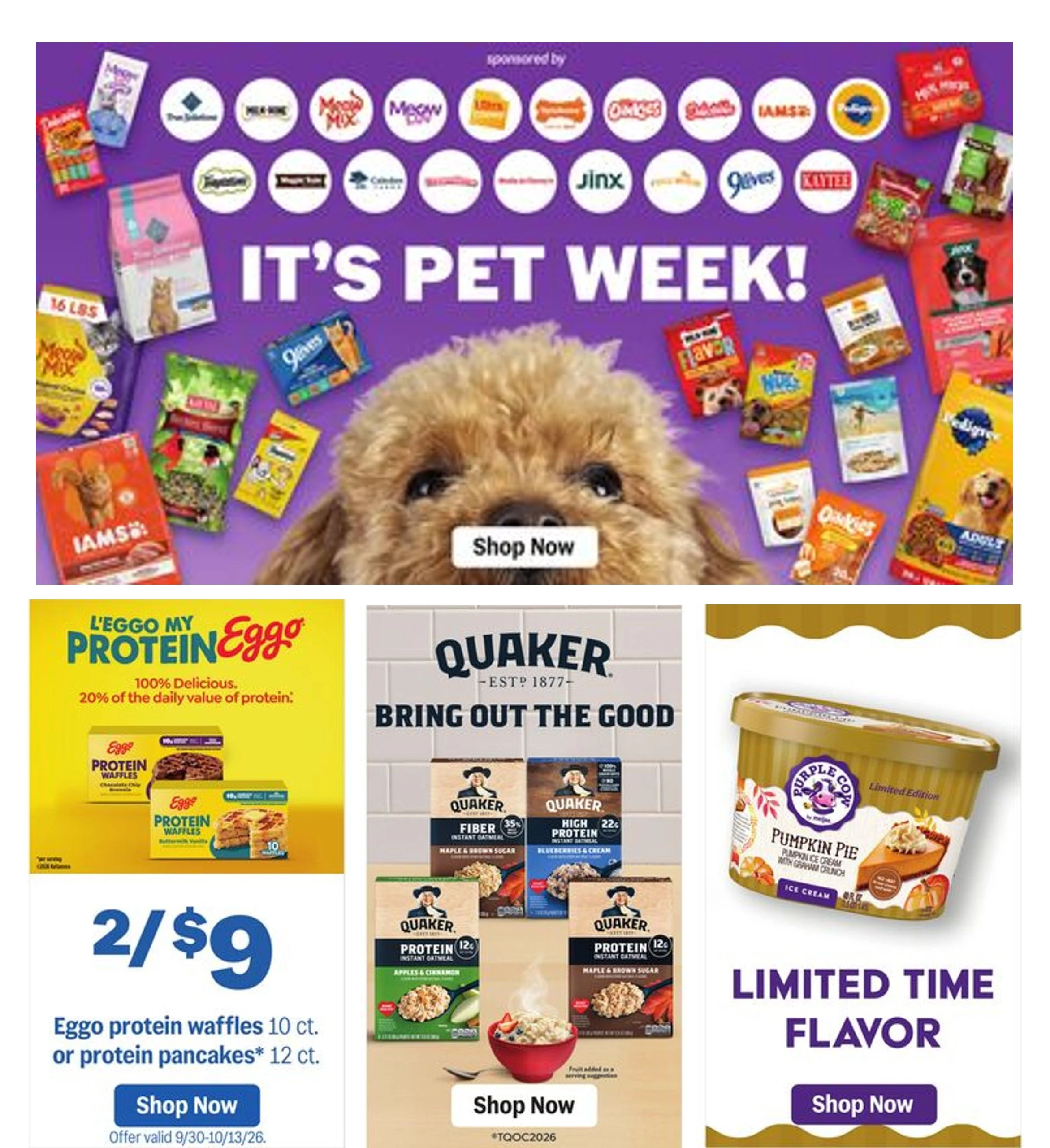 Meijer Page 35