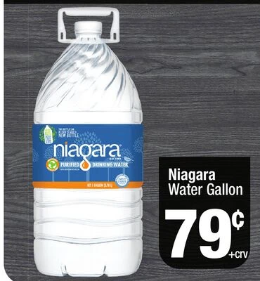 Weekly Ad page 105
